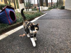 -T80科技文化国际社区-停车场
