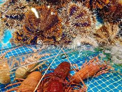 -三亚火车头万人海鲜广场