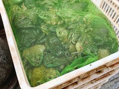 -昱龙大盆牛蛙馆(三兴街总店)