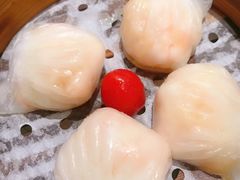 金牌虾饺皇-赏点粤式点心(广州塔店)