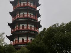 -绳金塔