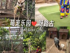 -呀路古热带植物园