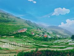 -紫鹊界梯田景区