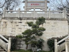 -紫金山山顶公园