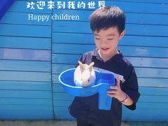 -季高兔窝窝亲子园(上海薰衣草公园店)