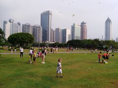 -万绿园