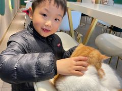 -飞行喵MR PILOT|猫舍·猫咖(静安大融城店)