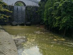 -广州市帽峰山景区
