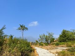 -白水寺森林公园