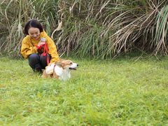 -桤木河湿地公园