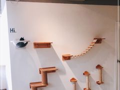 -Heymao猫咖.咖啡厅(东门店)
