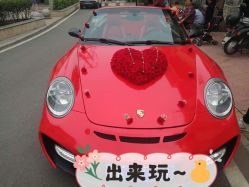 -蚂蚁婚车