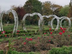 -昆山城市生态森林公园