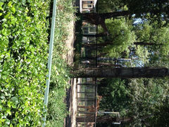 iphone_upload_pic-北京动物园
