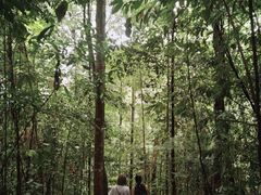 -武吉知马自然保护区