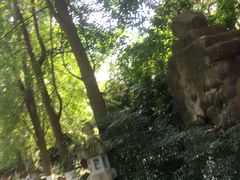 -宝光寺