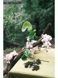 -琥珀婚礼策划AMBER WEDDING