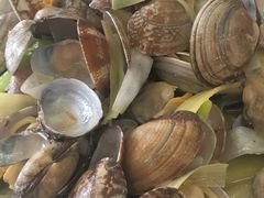 -渔民船说·北塘海鲜·天津菜·海肠捞饭(北塘古镇店)