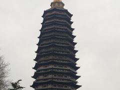 -红梅公园