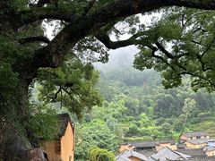 -杨家堂村