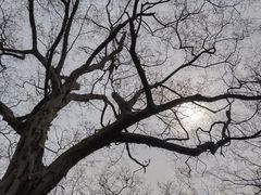-幕燕滨江·燕子矶公园
