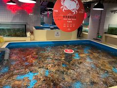 -日进一片海.生腌海鲜火锅.宵夜烧烤(三里屯总店)