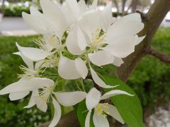 -永和大王(小厨·东四十条店)