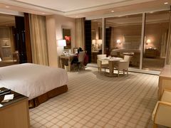 -拉斯维加斯永利酒店