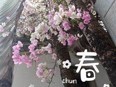 -深圳国际园林花卉博览园