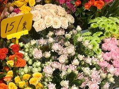 -溪岸路花鸟市场