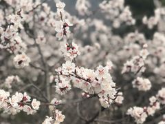 -八达岭长城