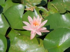 -白鹭湾湿地公园