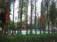 -秀全公园游泳馆(花都店)