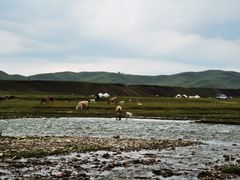 -新疆那拉提国家旅游度假区