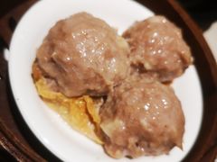 鲜竹牛肉球-衡山汇·高级粤菜(霄云路店)