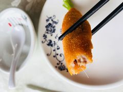 -丁老爷子苏香圆