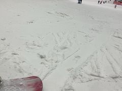 -哈尔滨热雪奇迹