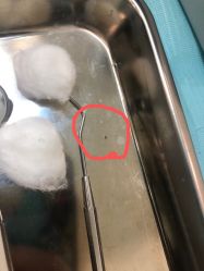 -青苗儿童口腔(长楹天街购物中心)