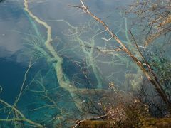 -九寨沟-树正沟