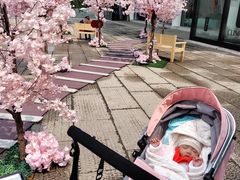 -大洋晶典(东街店)