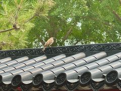 -中卫御苑福膳·养生局(圆明园店)