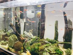 -中田·健身+普拉提(北京通州运河店)