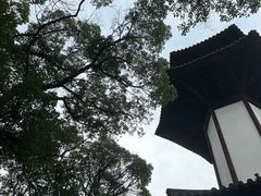 -上海佘山国家森林公园天马山园