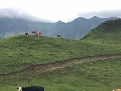 -硗碛藏寨·神木垒景区