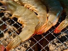 -吉志烤肉(太原总店)