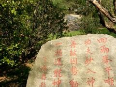 -沂蒙云瀑洞天景区