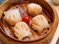 -新兴·金羊座·粤菜点心(乐峰店)