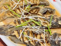 -乔家小院•本地小海鲜•非遗驴肉(万年泉路店)