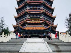 -铁山坪森林公园