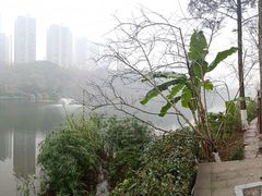 -重庆彩云湖湿地公园